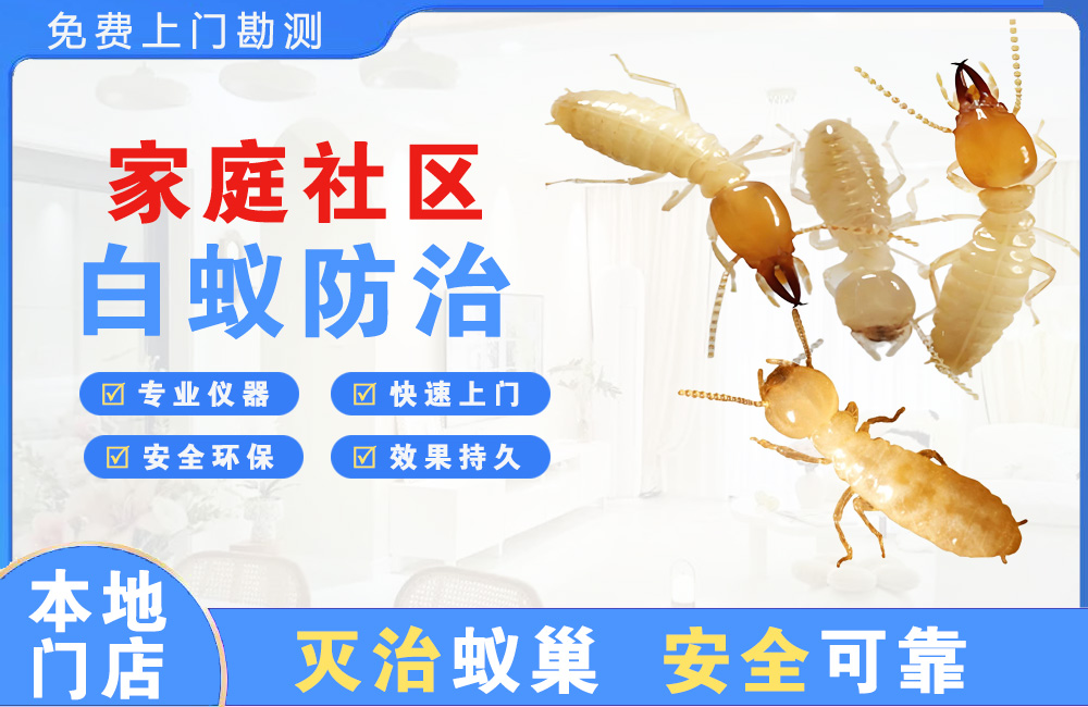 江油家庭社区白蚁防治