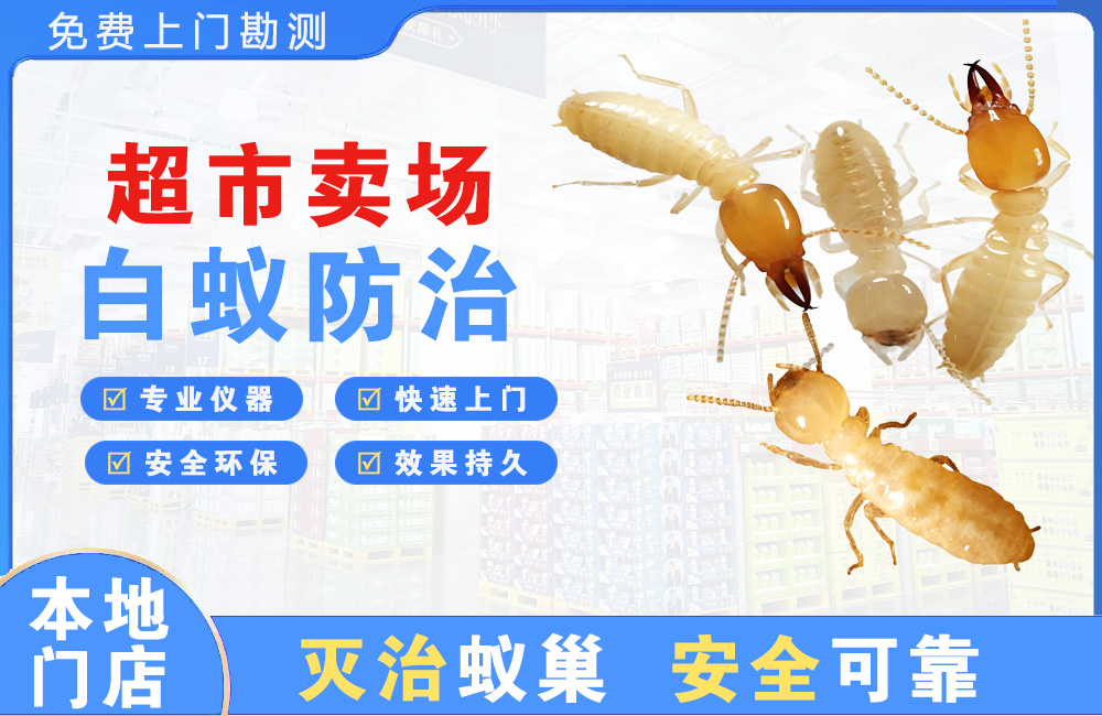 江油超市卖场白蚁防治