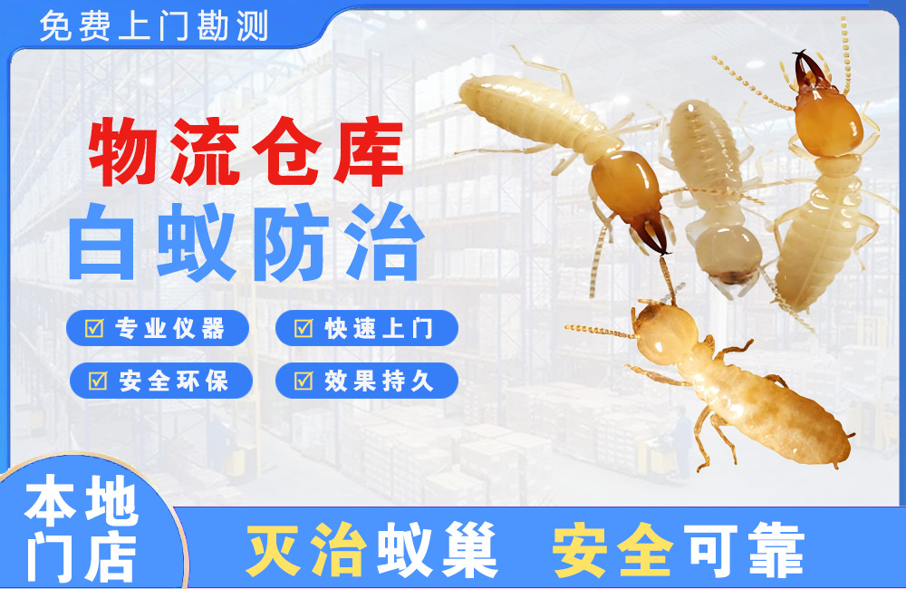 江油物流仓库白蚁防治