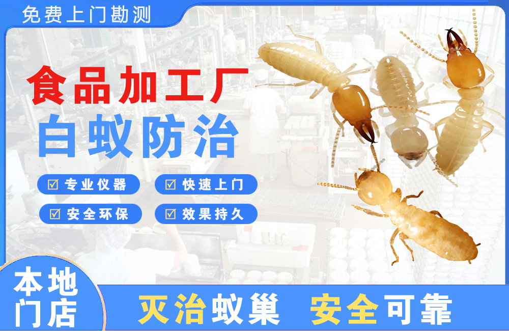 江油食品加工厂白蚁防治