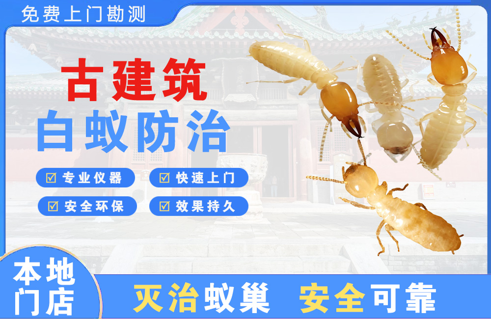 江油古建筑白蚁防治