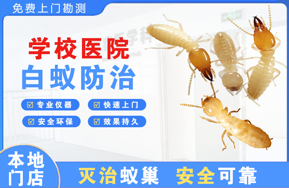 江油学校医院白蚁防治
