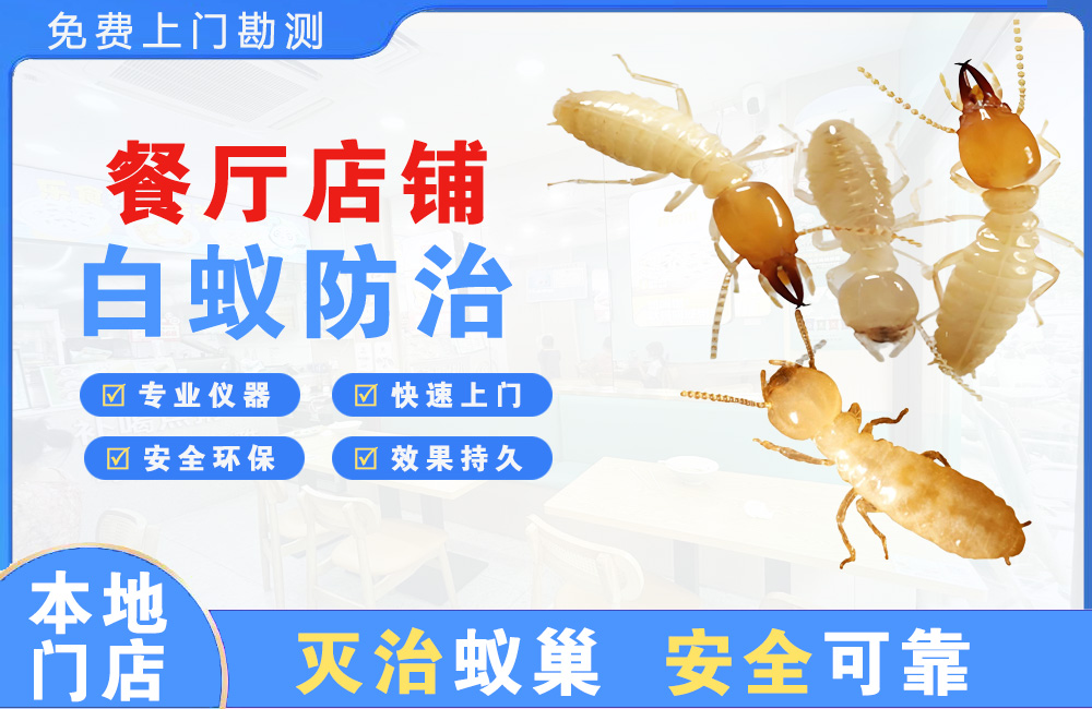 江油餐厅店铺白蚁防治